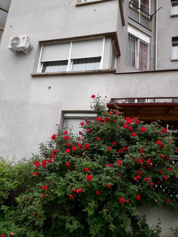 Apartments Lela Bihac Luaran gambar